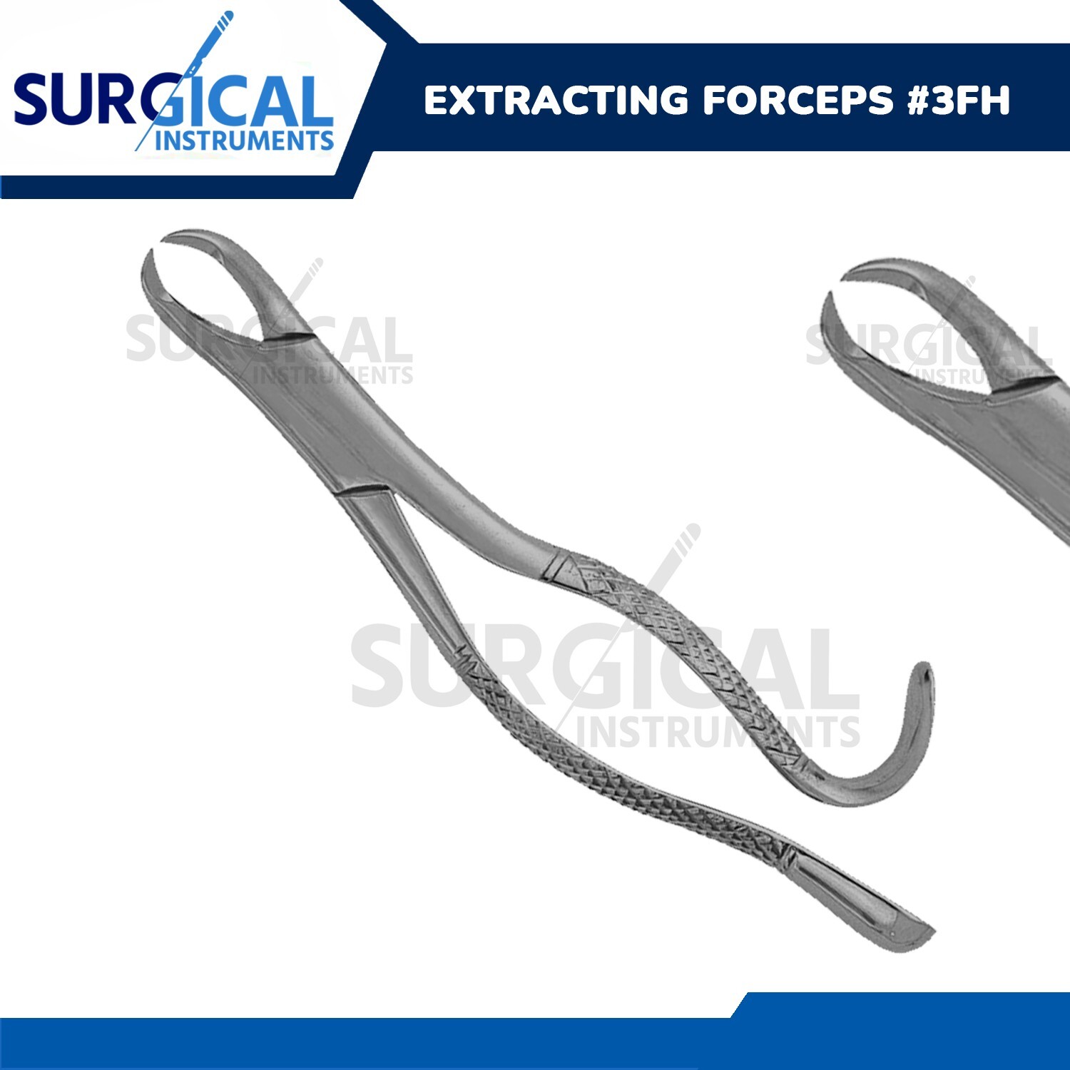 Extracting Forceps Dental Surgical Instruments #3FH German Grade Stainless Steel