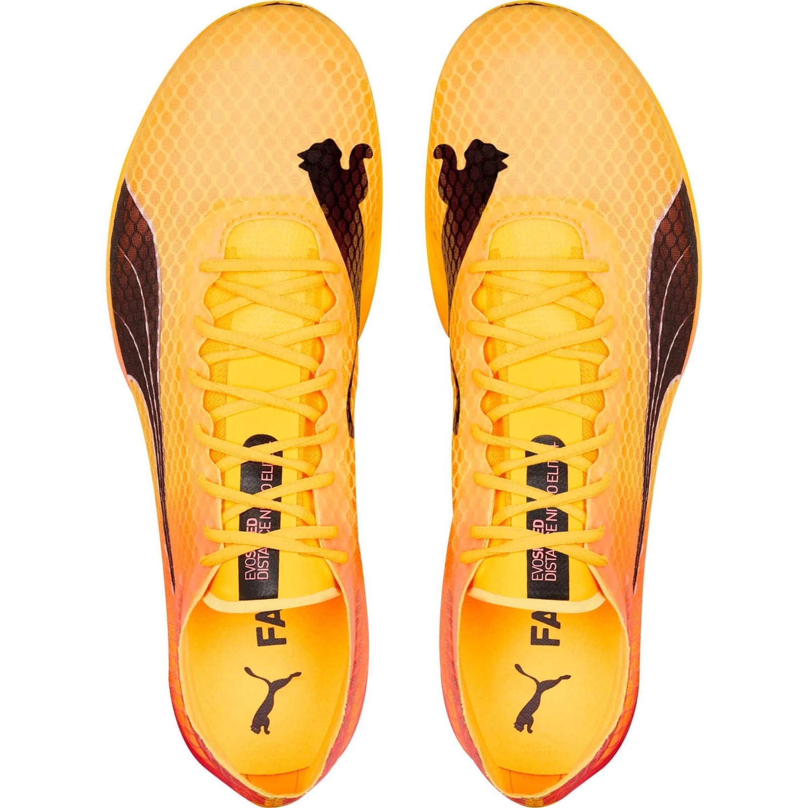 Puma Unisex evoSpeed Distance Nitro Elite + 2 Running Spikes Track & Field
