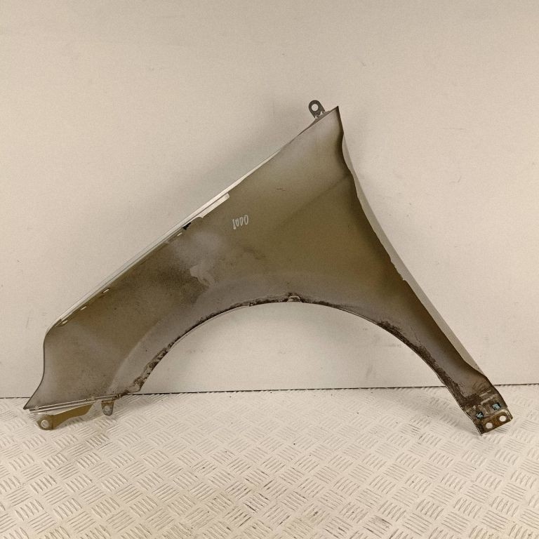 Hyundai Ioniq Mudguards T8S