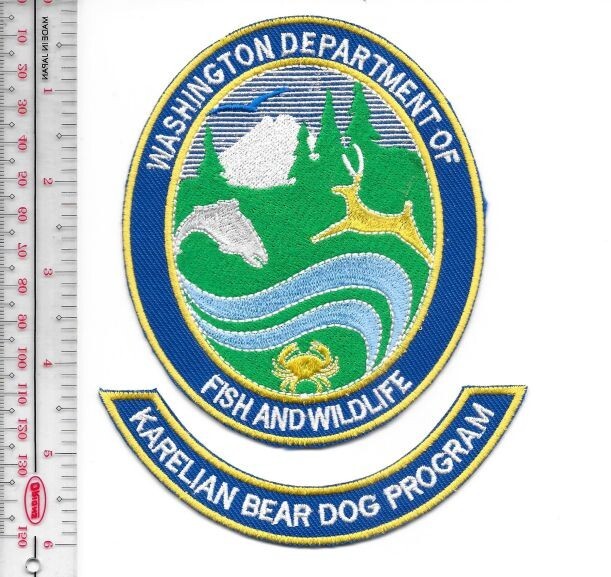 K-9 Police Washington State Department of Fish & Wildlife Karelian Bear NO TARIF