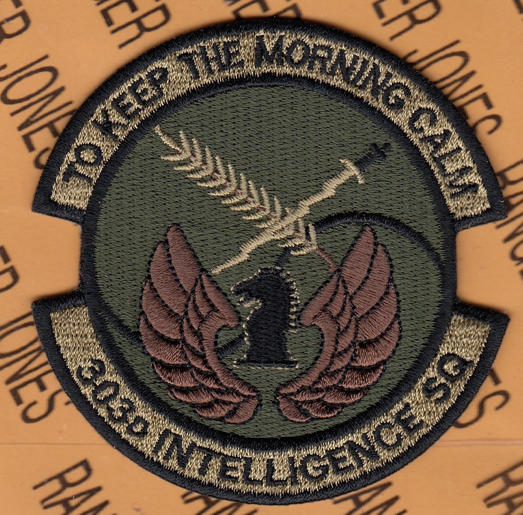 USAF Air Force 303rd Intelligence Sq IS ~3.25" OCP No HOOK patch c/e A