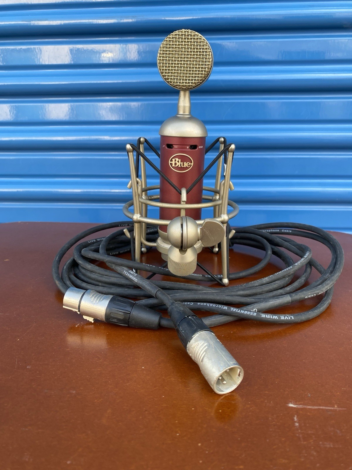 Blue Bluebird Condenser Studio Microphone W/ Shock Mount XLR Cable Used