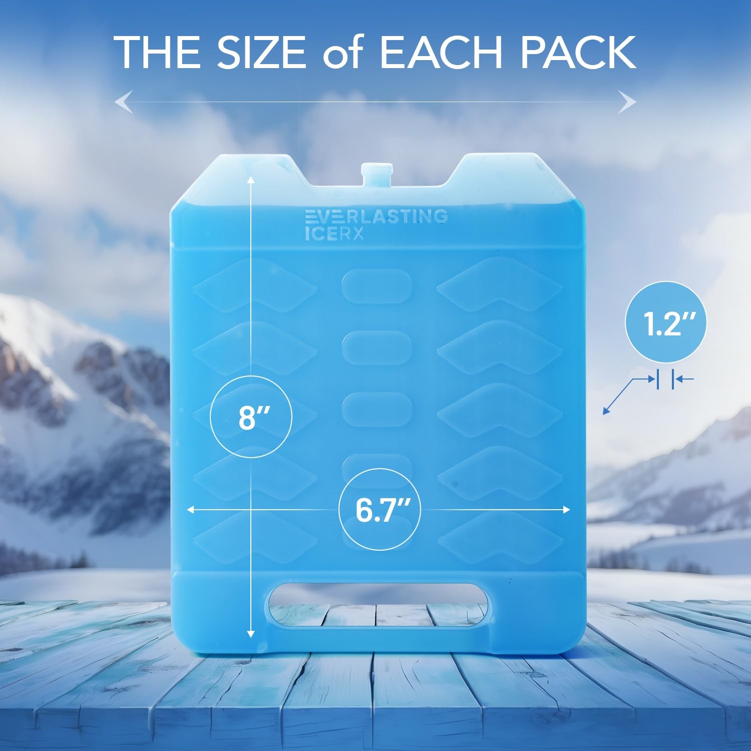 Large Reusable Ice Packs for Cooler with Handle (4 Pack) Long Lasting Coolnes...