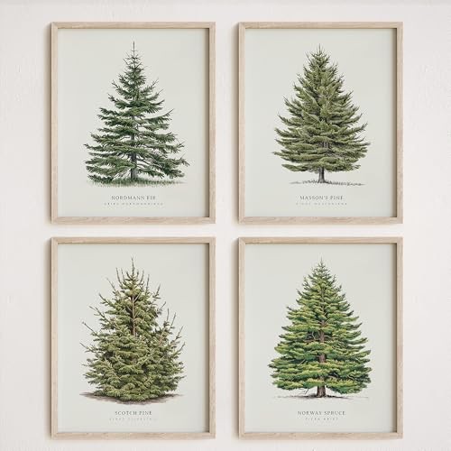 4Pcs Vintage Christmas Tree Wall Art, Artful 4 Pine Tree Botanical Prints,
