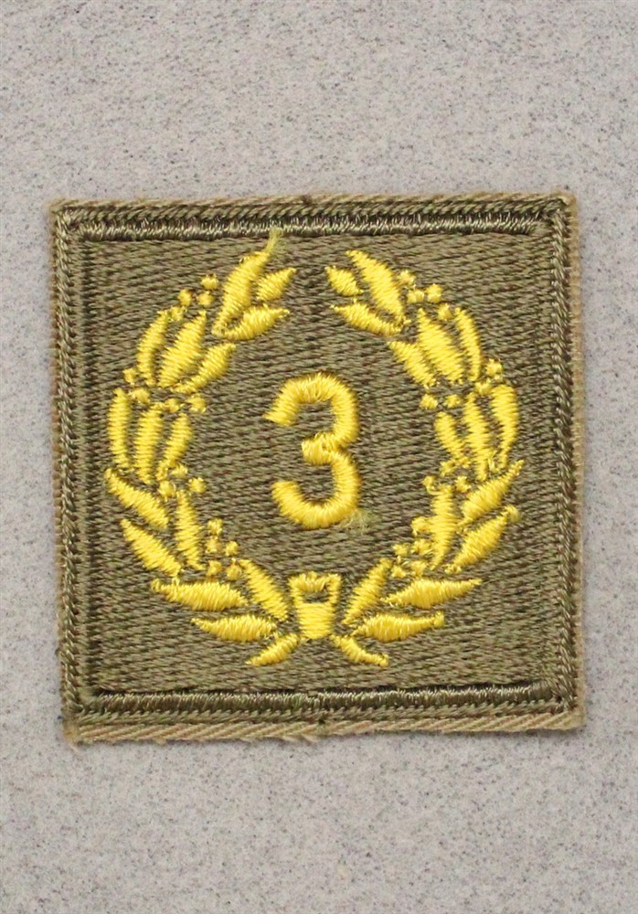 Cloth Army Badge 013: Meritorious Unit Award, 3rd Award