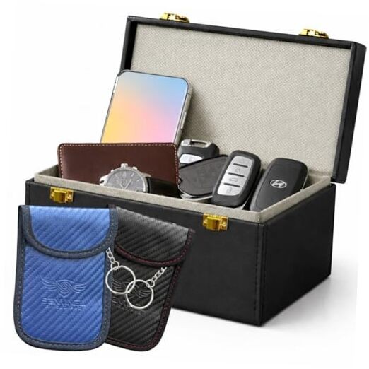 Premium Faraday Box with 2 Faraday Elegant Black with Dual Golden Closures