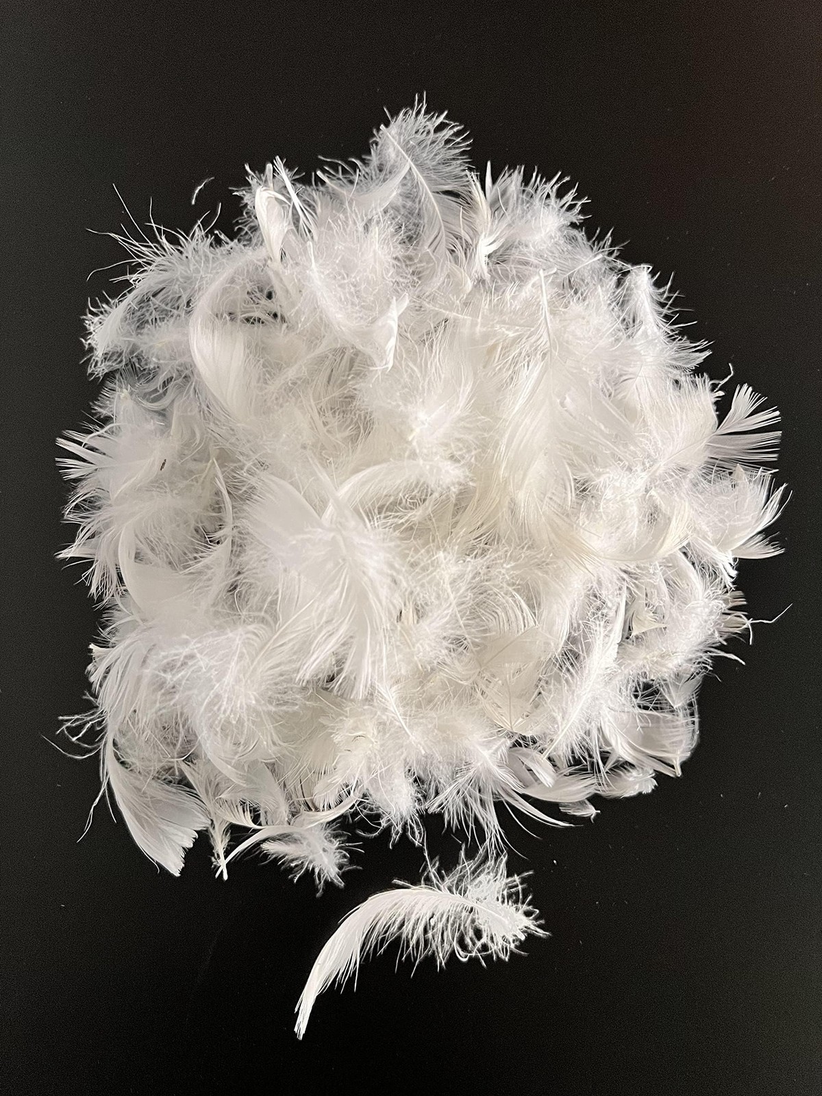 Bulk Goose Down Feather Stuffing & Fill â€“ Hypoallergenic Pillow Filling, Repa