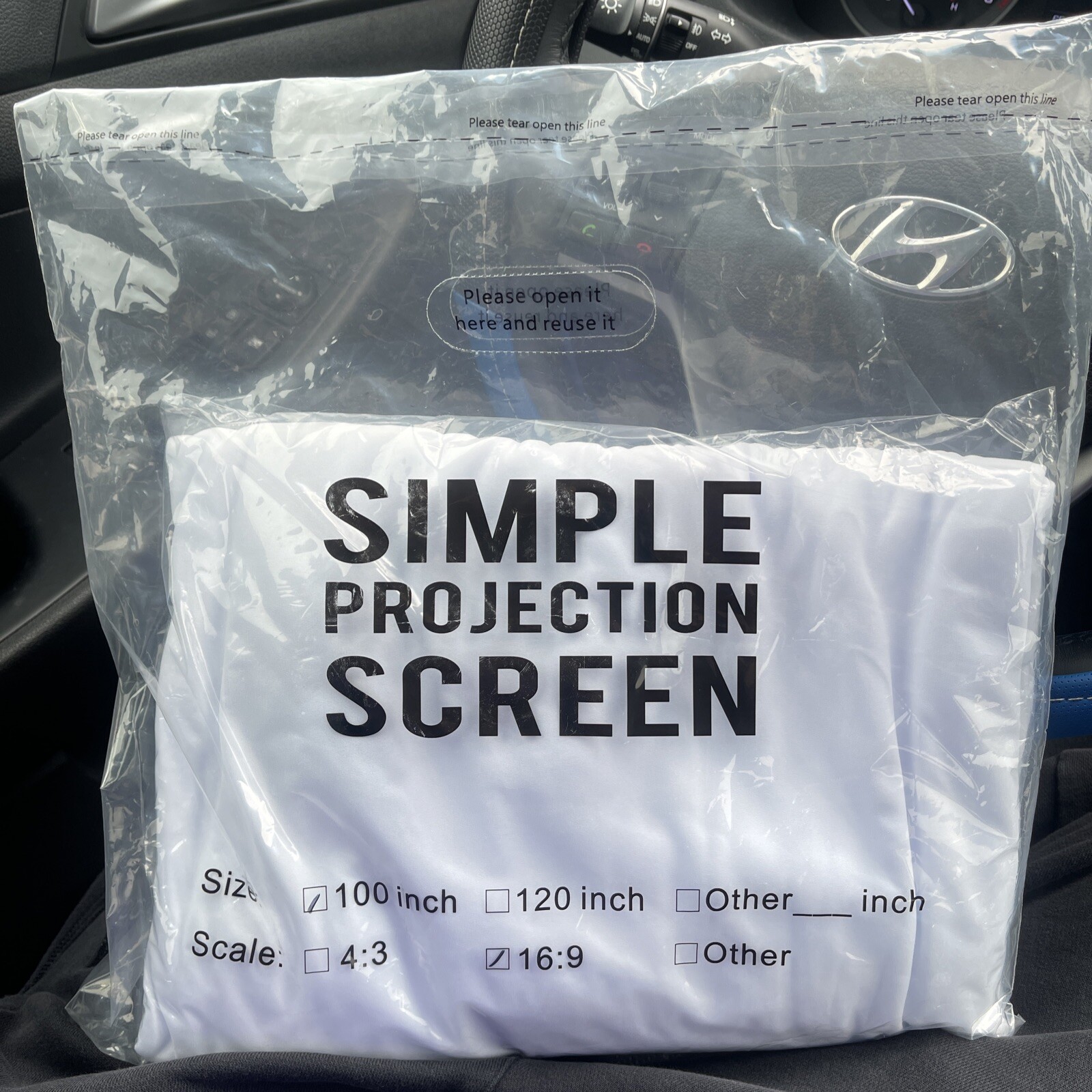 Simple Projection Screen 100 Inch 16:9 Aspect Ratio New Factory Sealed