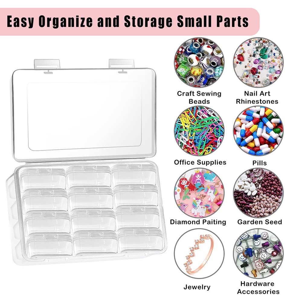Large Clear Storage Box with 12 Pcs Small Bead Organizers Cases with Hinged Lid