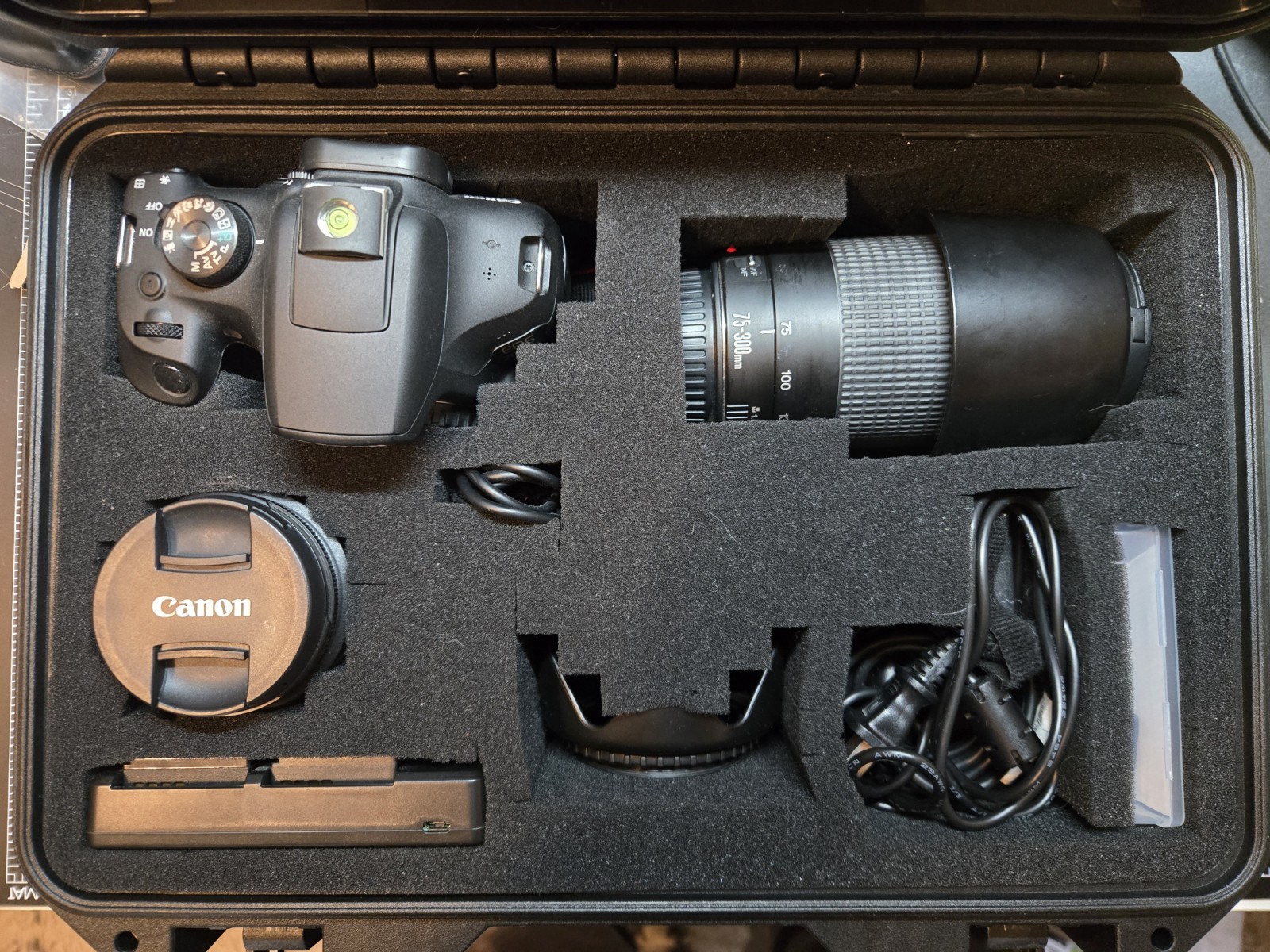 Canon EOS 2000D Rebel T7 DSLR Bundle 18-55mm IS II 75-300mm Lens Case