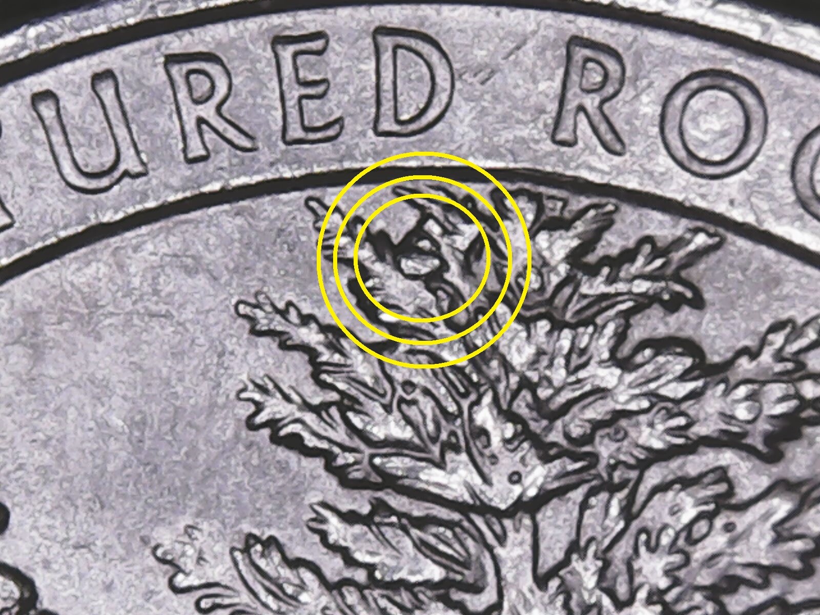 2018 p Pictured Rock ATB Quarter with Die Chips.