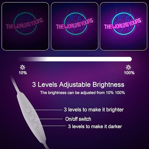 The World is Yours Neon Sign for Wall Decor LED Dimmable Light Switch Wall