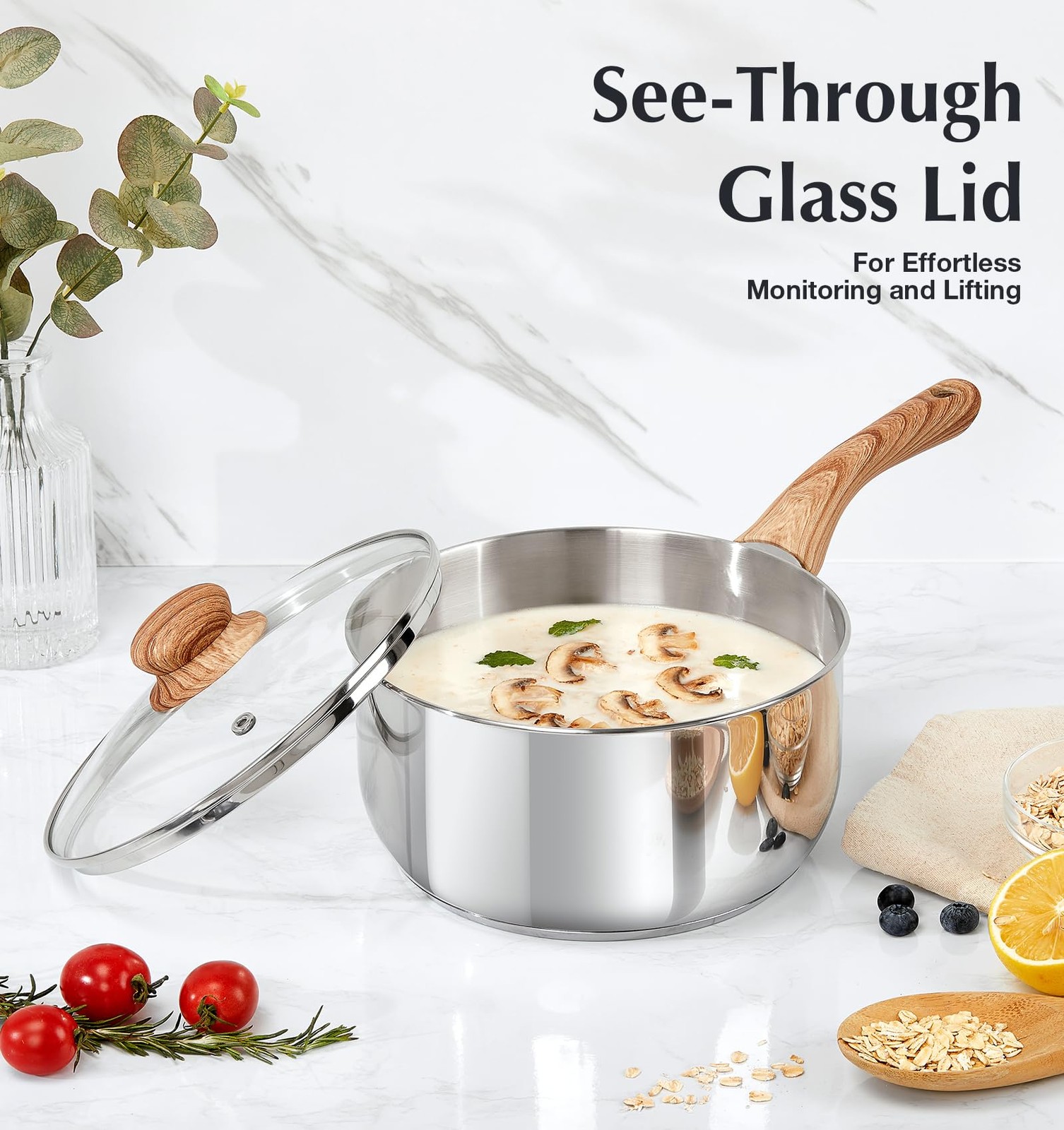KOCH SYSTEME CS Stainless Steel Saucepan, 2 Quart Saucepan 2 Quart, Silver