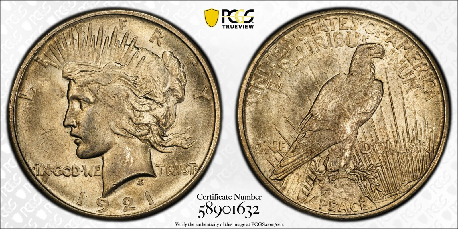 1921 Peace Silver Dollar PCGS MS-64