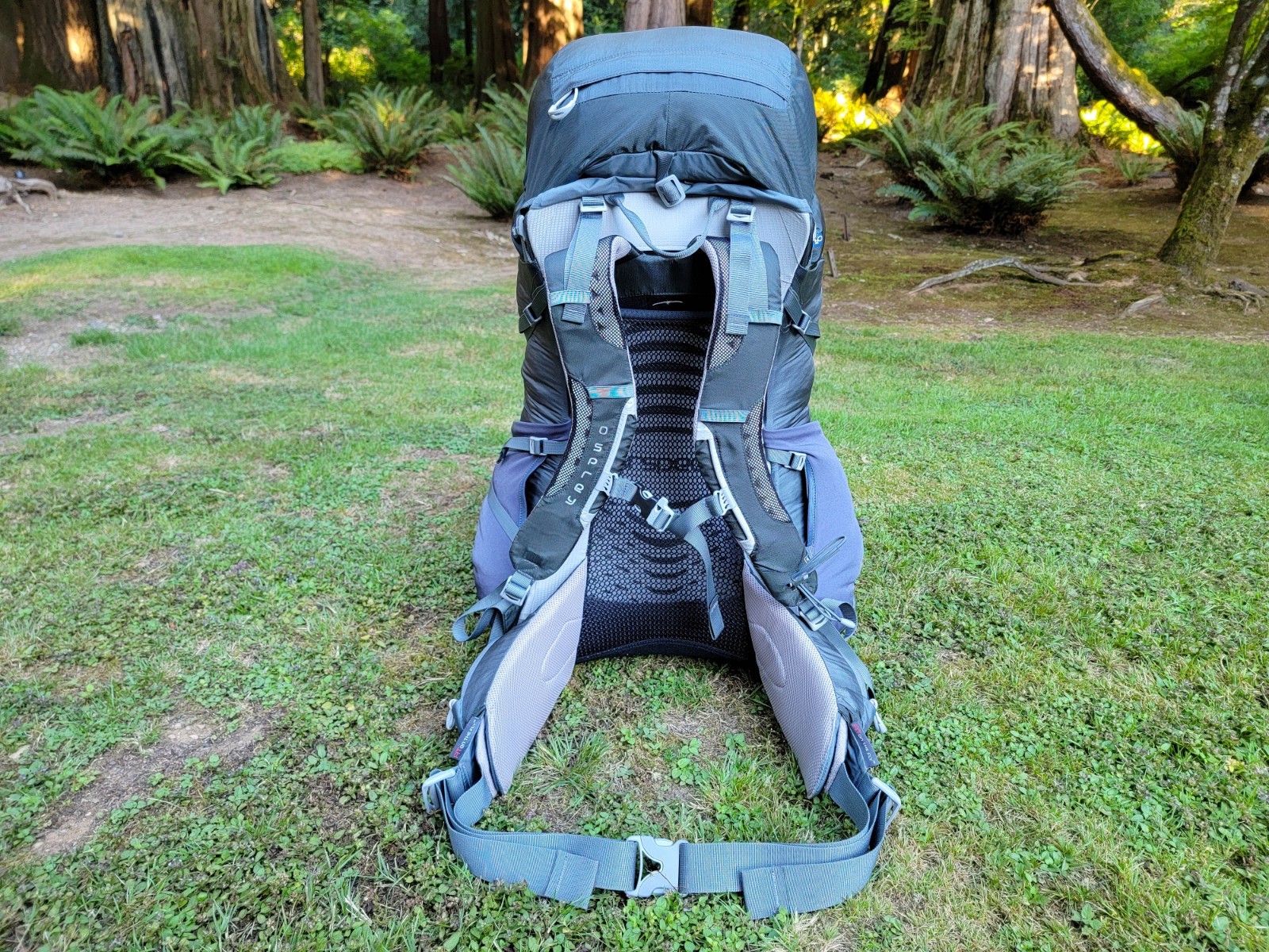 OSPREY Atmos 65 Internal Frame Green Gray Hiking 28" Backpack ~ Size Medium