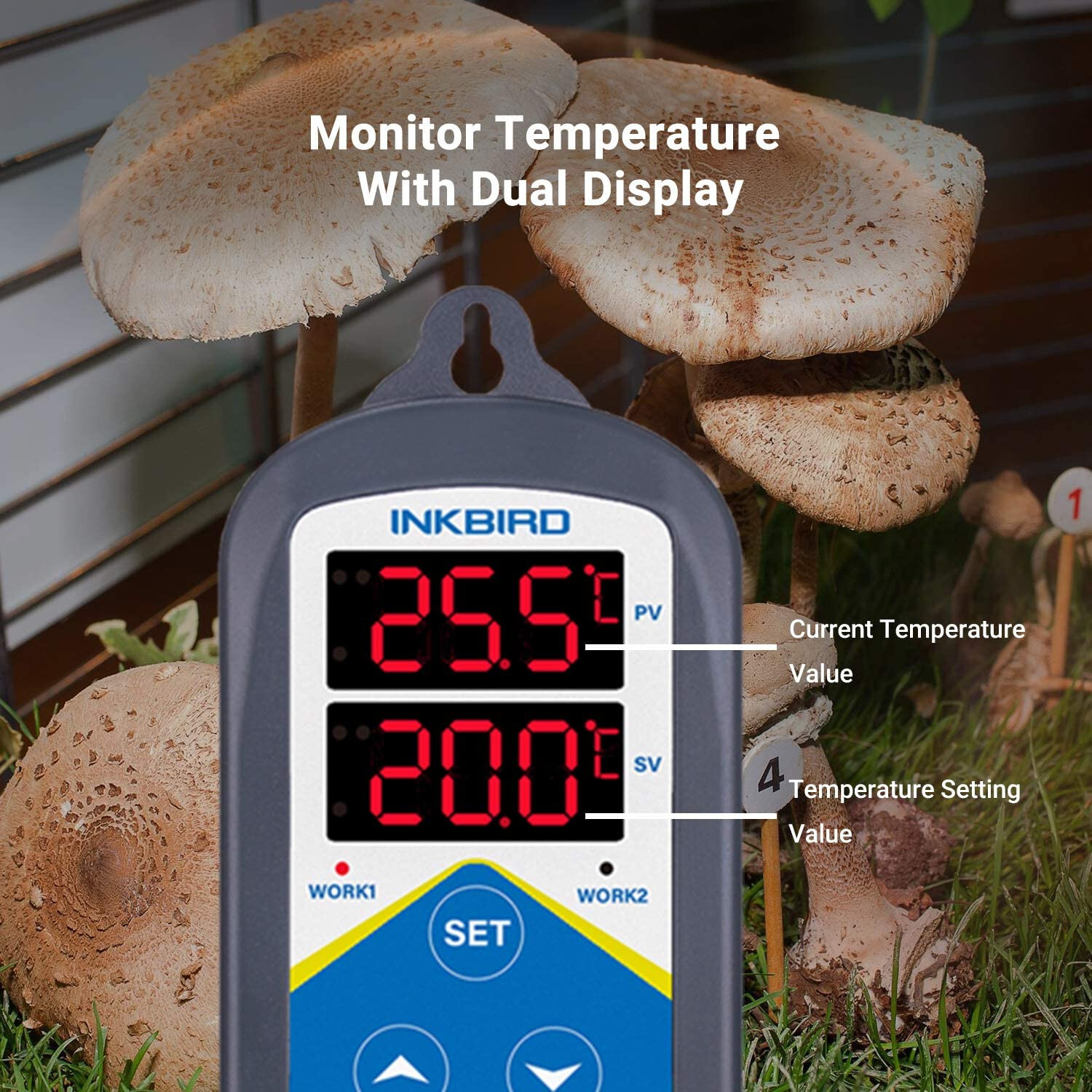 Inkbird 306 Digital Temperature Controller Heater Thermostat Switch Timer 110V