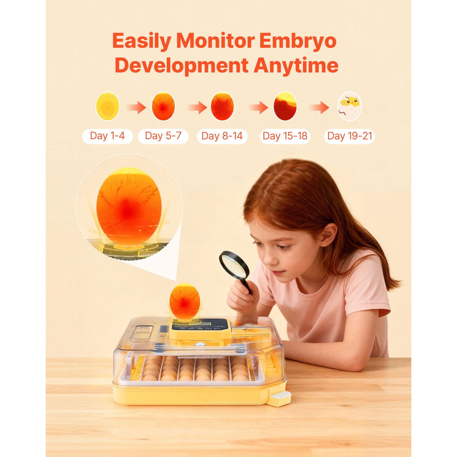 Uimoso 48 Egg Incubator with Auto Turning and Temperature Control System