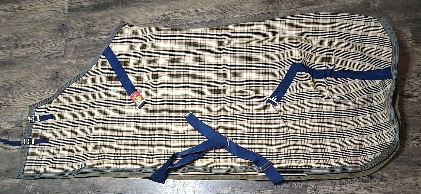 Horse Blanket 76