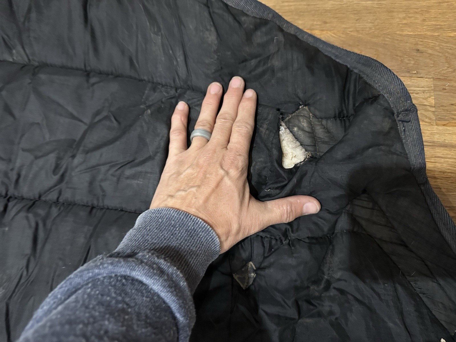 Horse Tack - 82” Schneiders Quilted Stable Blanket