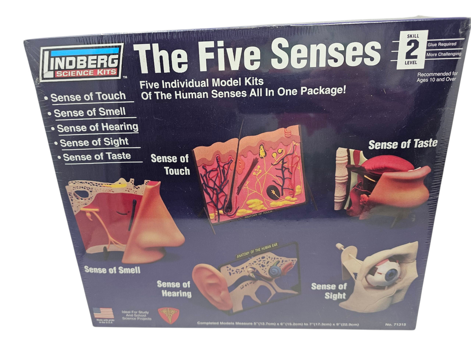 Lindberg 71315 The Five Senses Touch Smell Hear Sight & Taste NEW