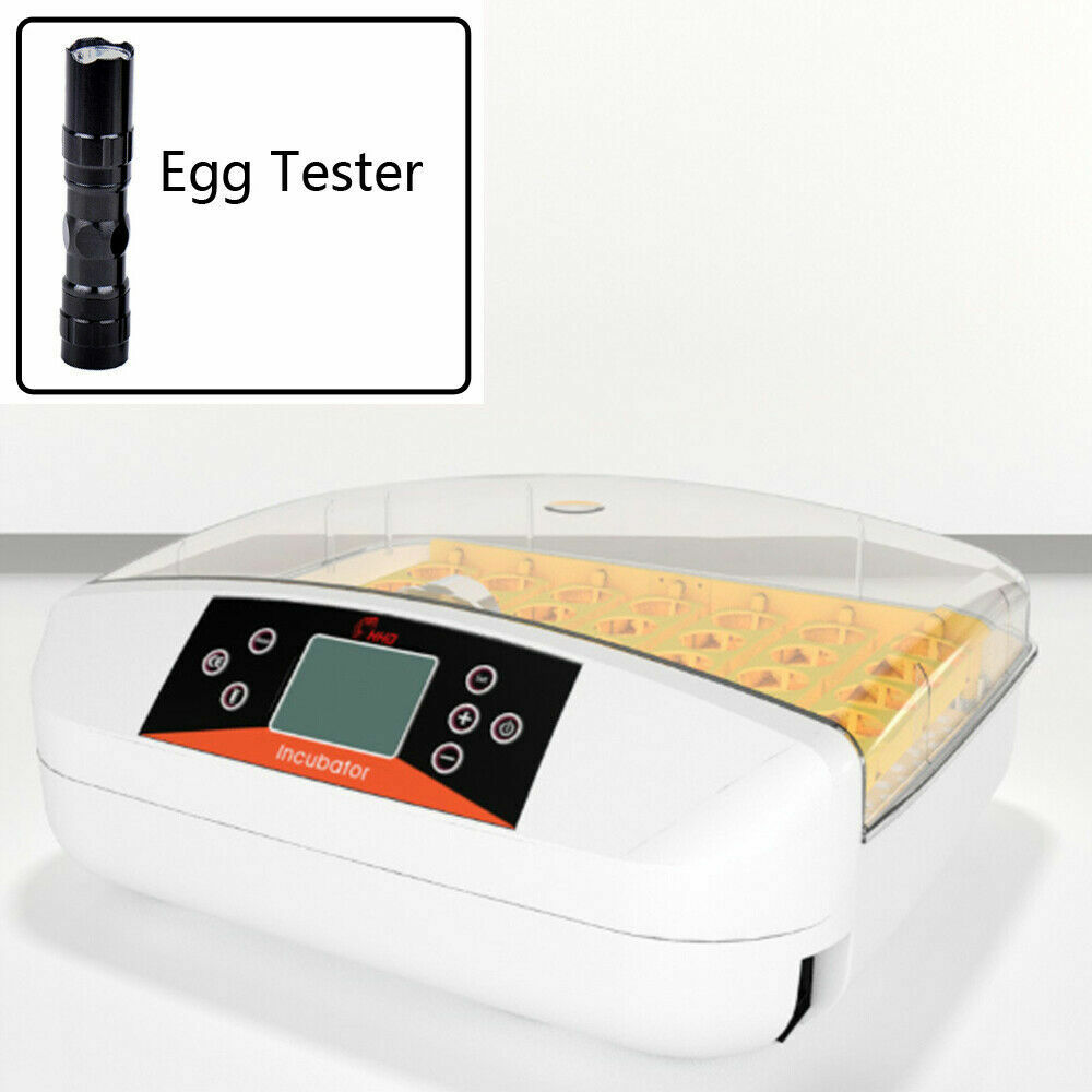 Automatic 41 Egg Incubator Digital Led Auto Turning Chicken Egg Poultry 220V 80W