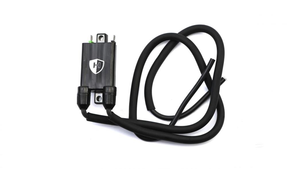 Ignition Coil for 2000 Kawasaki W 650 (EJ650 A2)