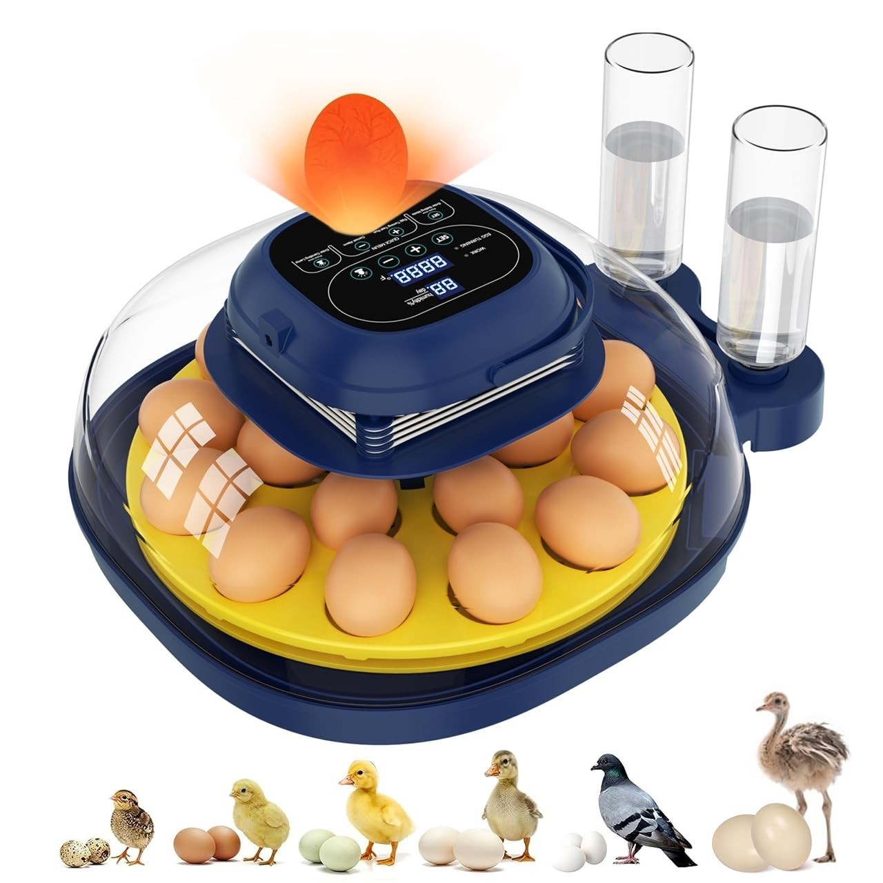 18 Egg Incubator with Auto Turning, Digital Temp & Humidity Control, Egg Candler