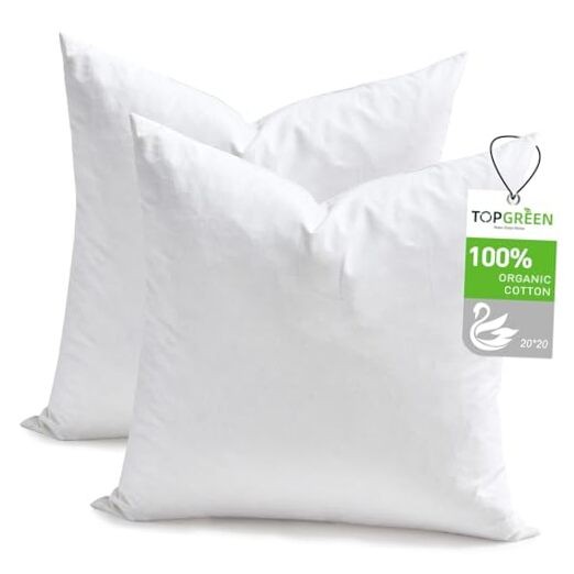 Feather Down Throw Pillow Inserts 20 x 20x20 Inch(Pack of 2) White(pack of 2)