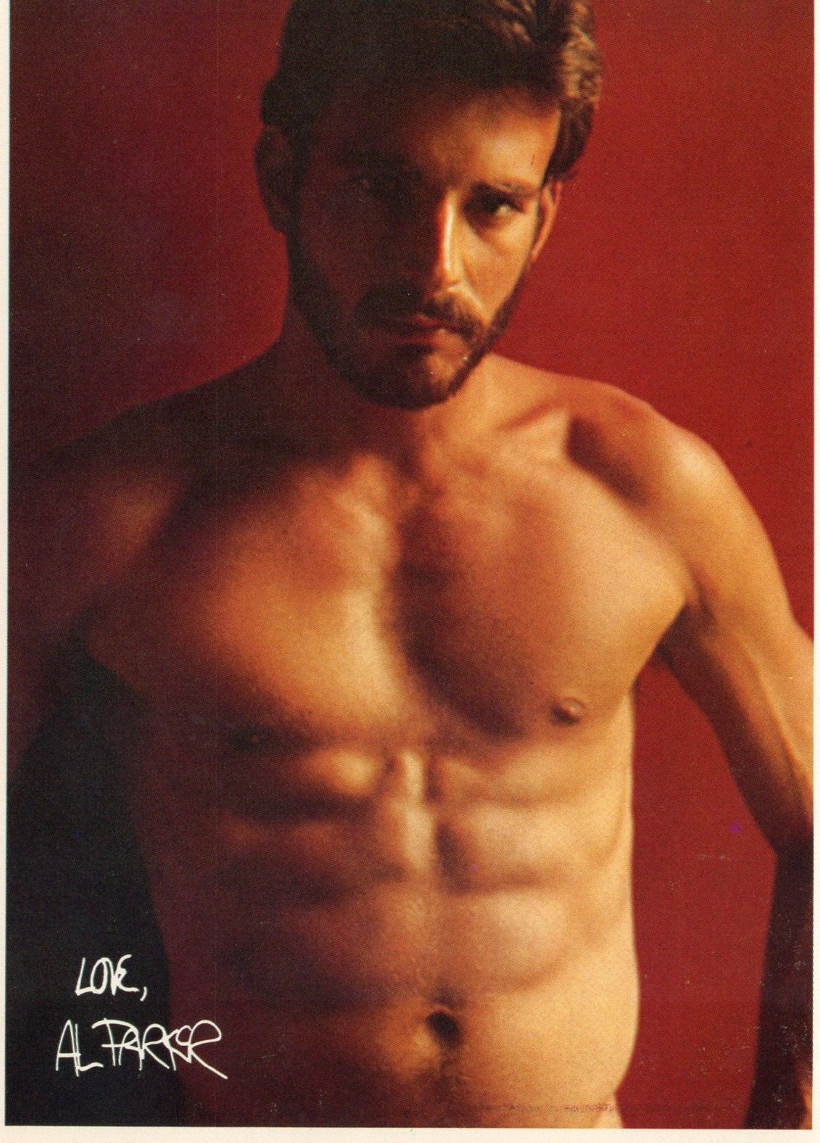 Love Al Parker 1981 Surge Studios Gay Porn Star American Postcard Company 5"x7"