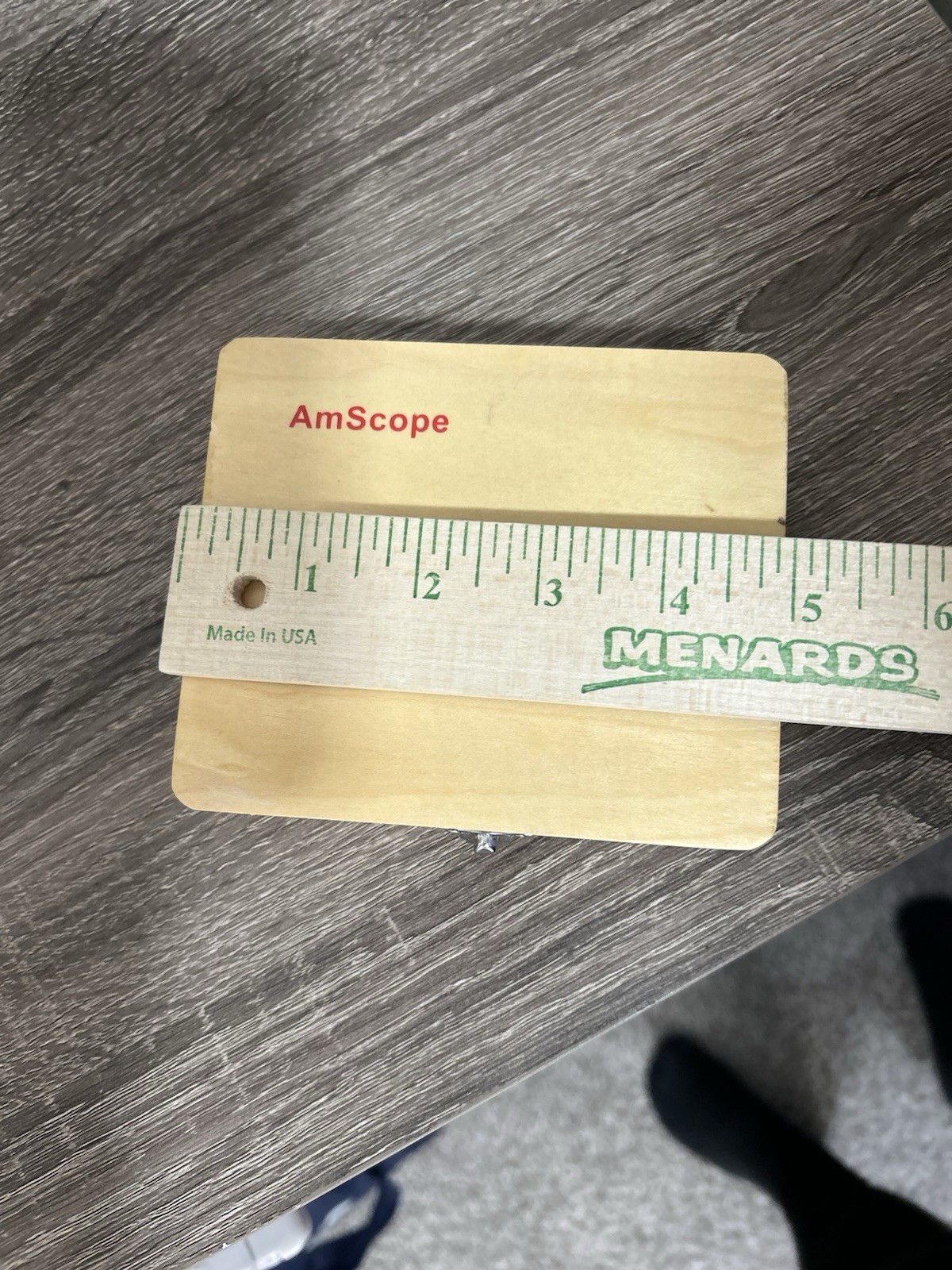 AmScope 25 Prepared Microscope Glass Slides With Wooden Box Specimens Microbio