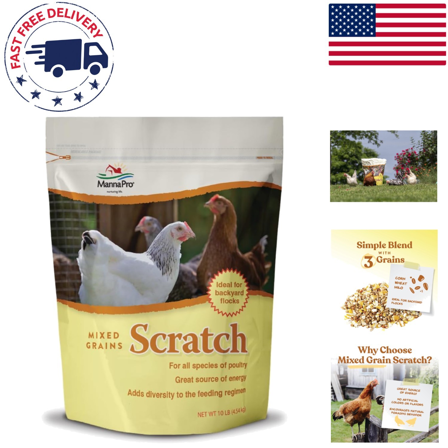 Nutrient-Rich Scratch Grain for Chickens - 10 lb Non-GMO Treat for All Breeds