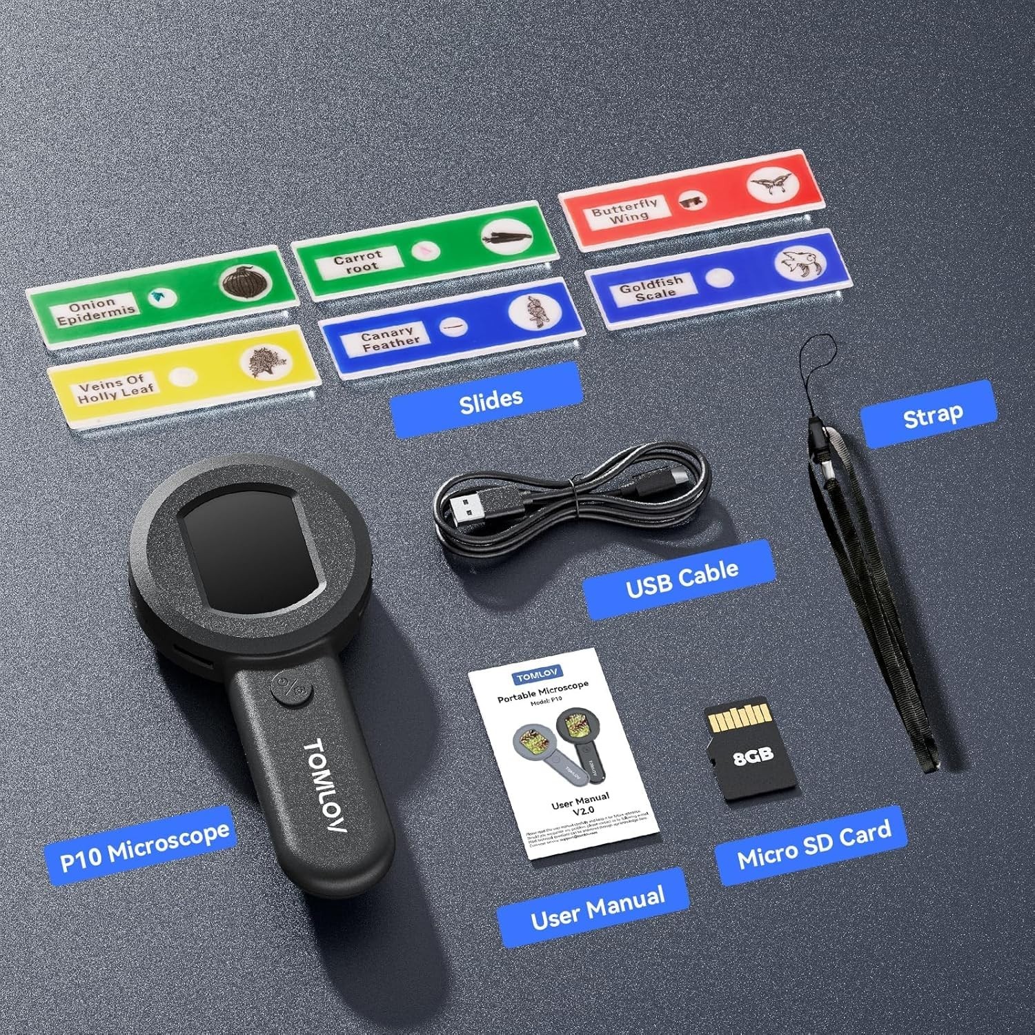 P10 Microscope for Adults Kids, Handheld Coin Magnifier with Light for Error ...