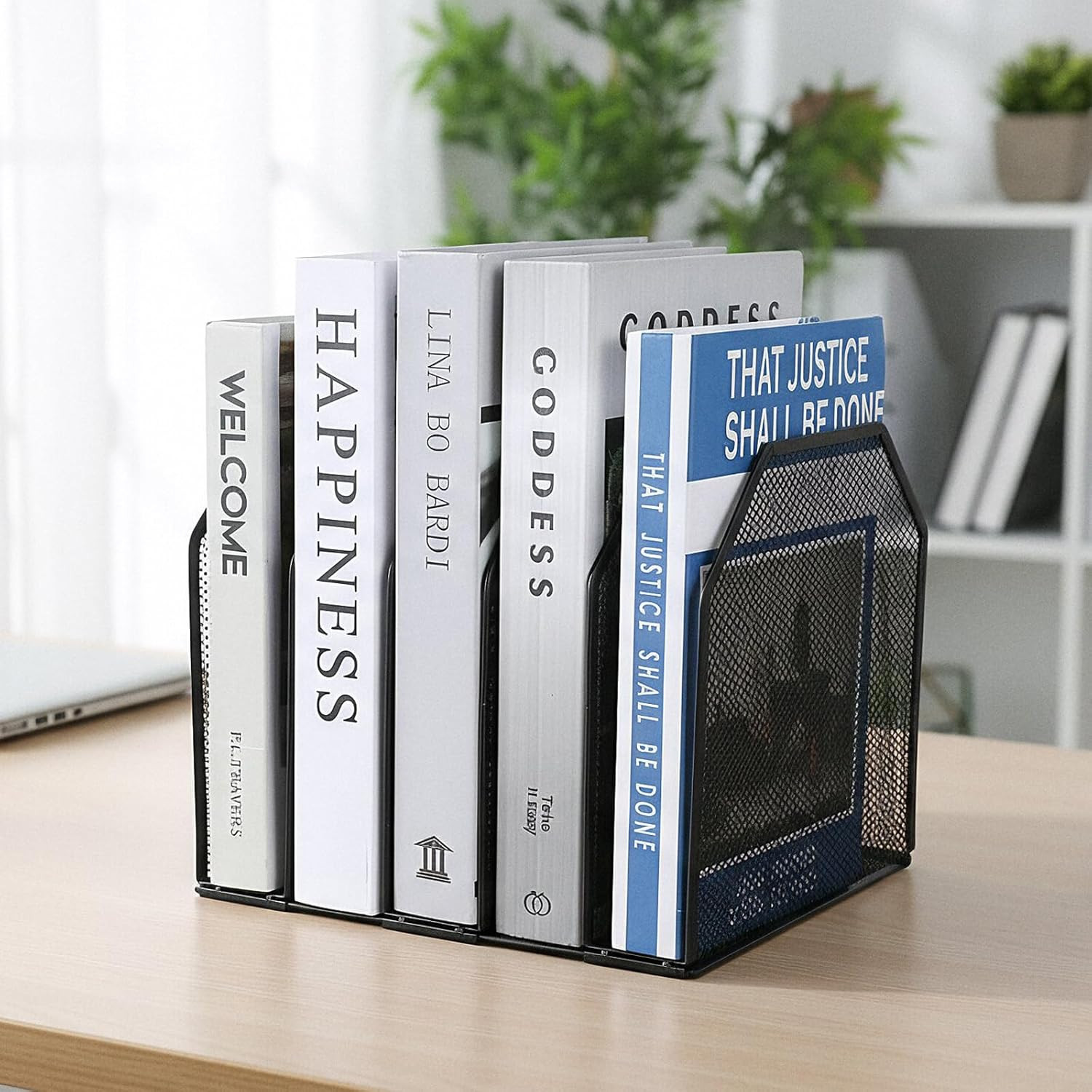 2 Pcs Vertical File Organizer for Desk - Metal Mesh Holder with 5 Compartments,