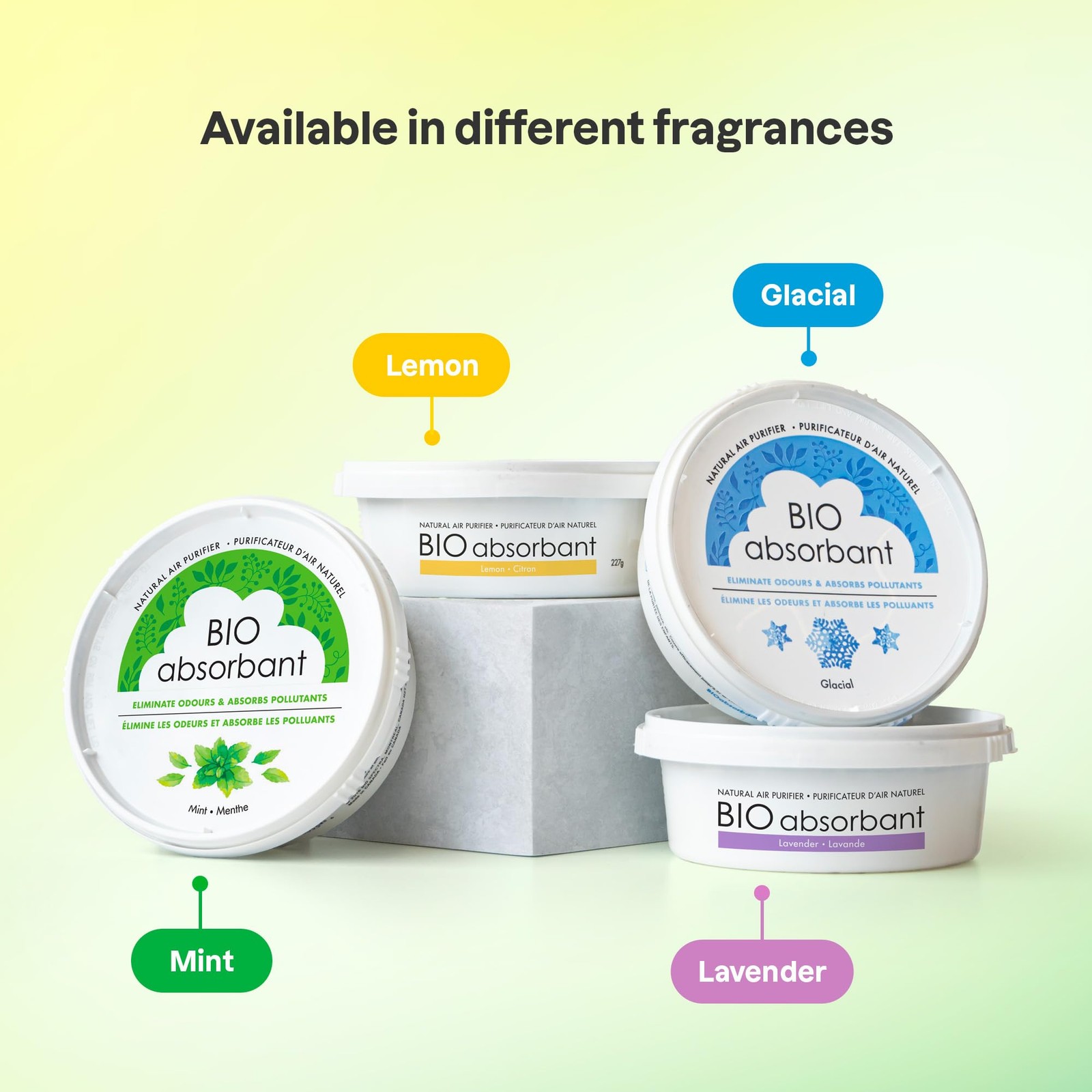 Bio Absorbant Air Purifier with Activated Carbon, Plant- and Mineral-Based, A...