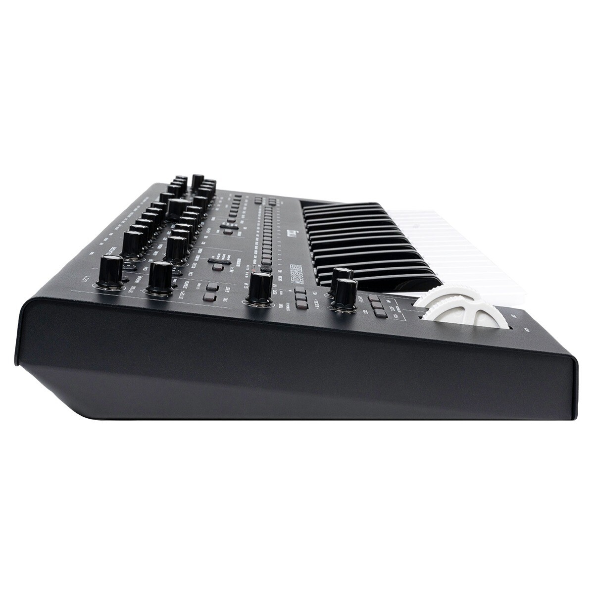 Moog MESSENGER Monophonic Analog Keyboard Synthesizer