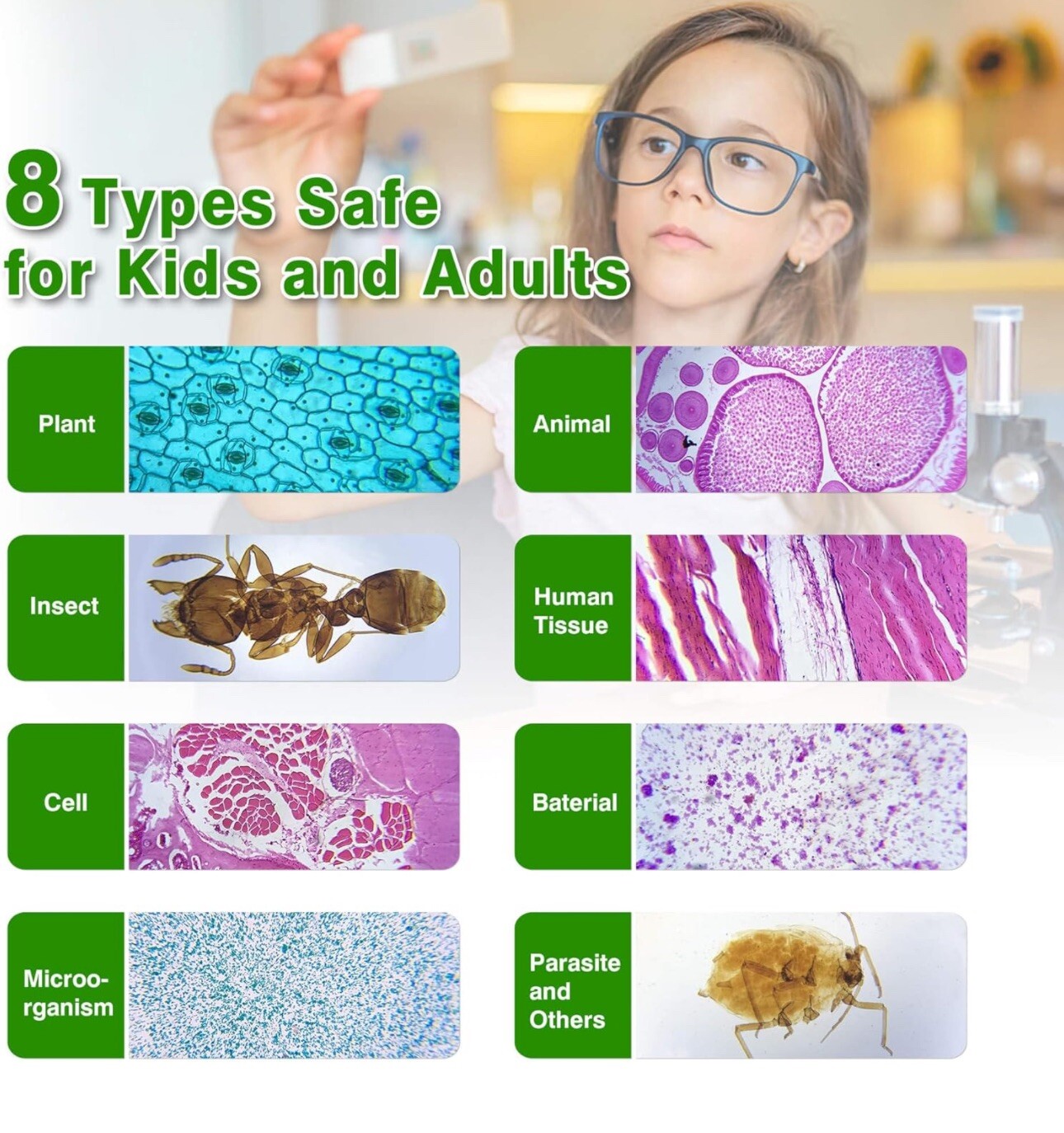 30 Microscope Slides with Specimens for Kids, Prepared Microscope Slides for ...