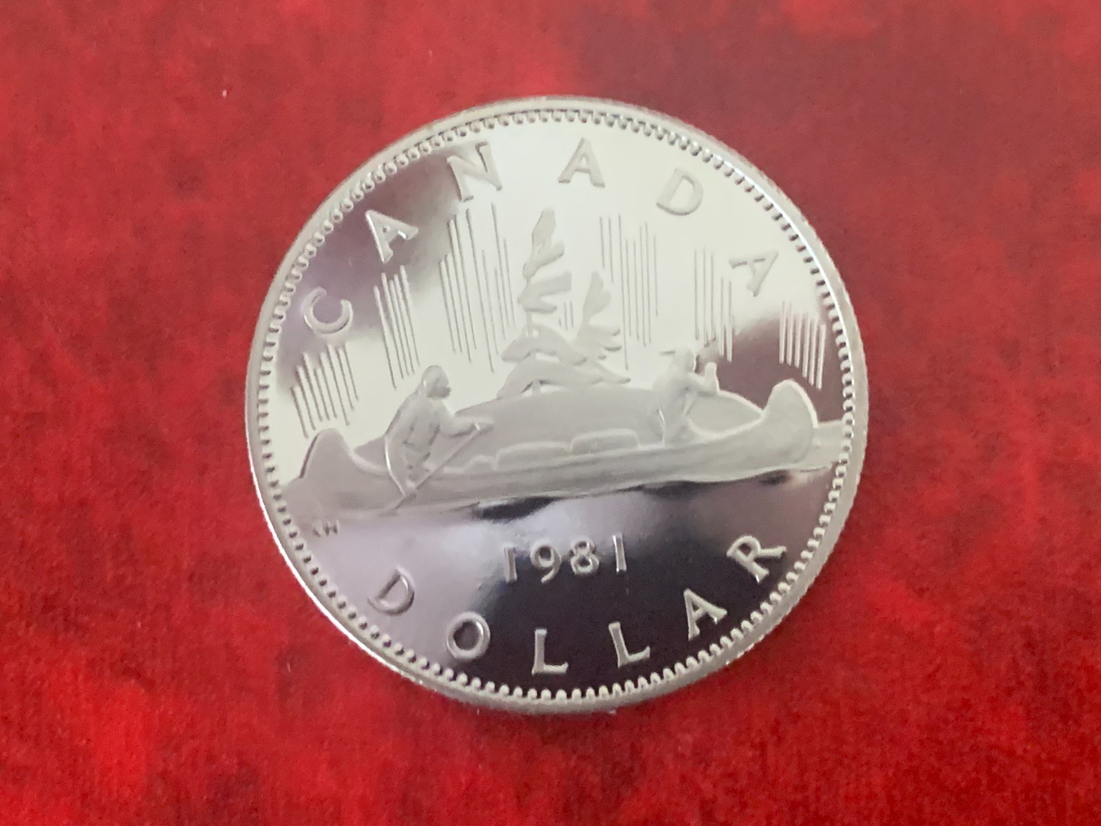 Canada 1 Dollar 1981 Proof Coin-Uncirculated