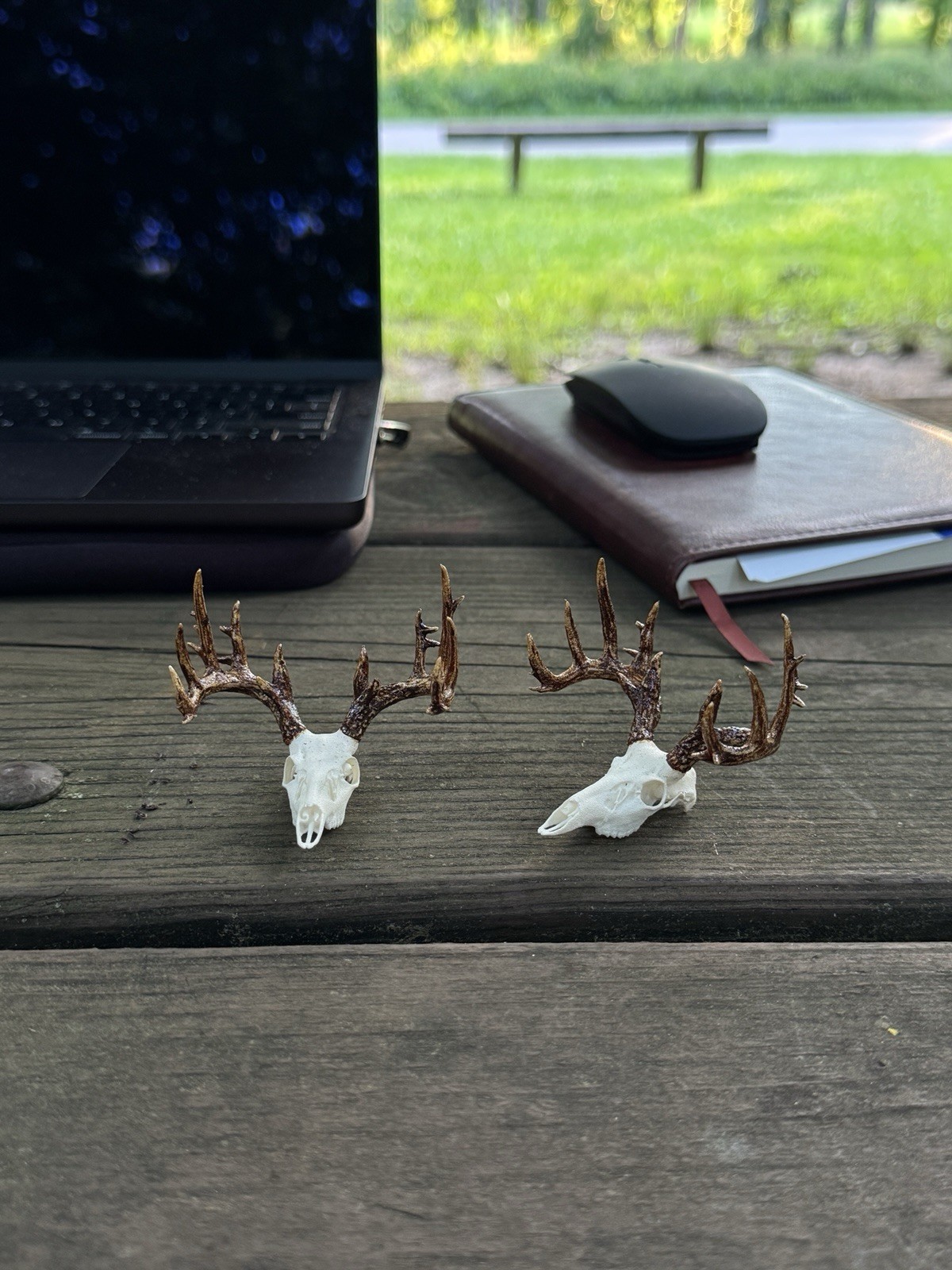 2 Mini Deer Skull & Antler Mirror Hangers, White/Brown