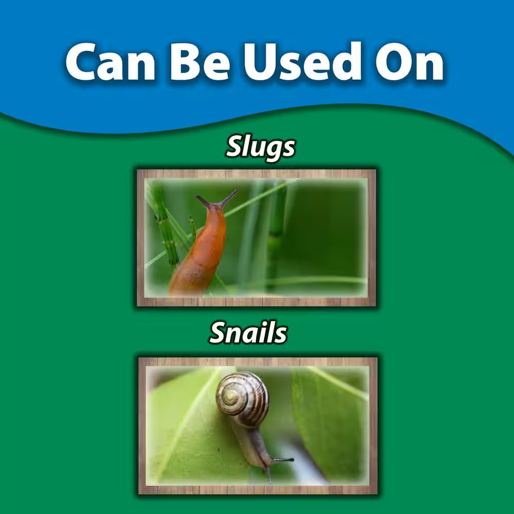 2.5 Lbs. Sluggo