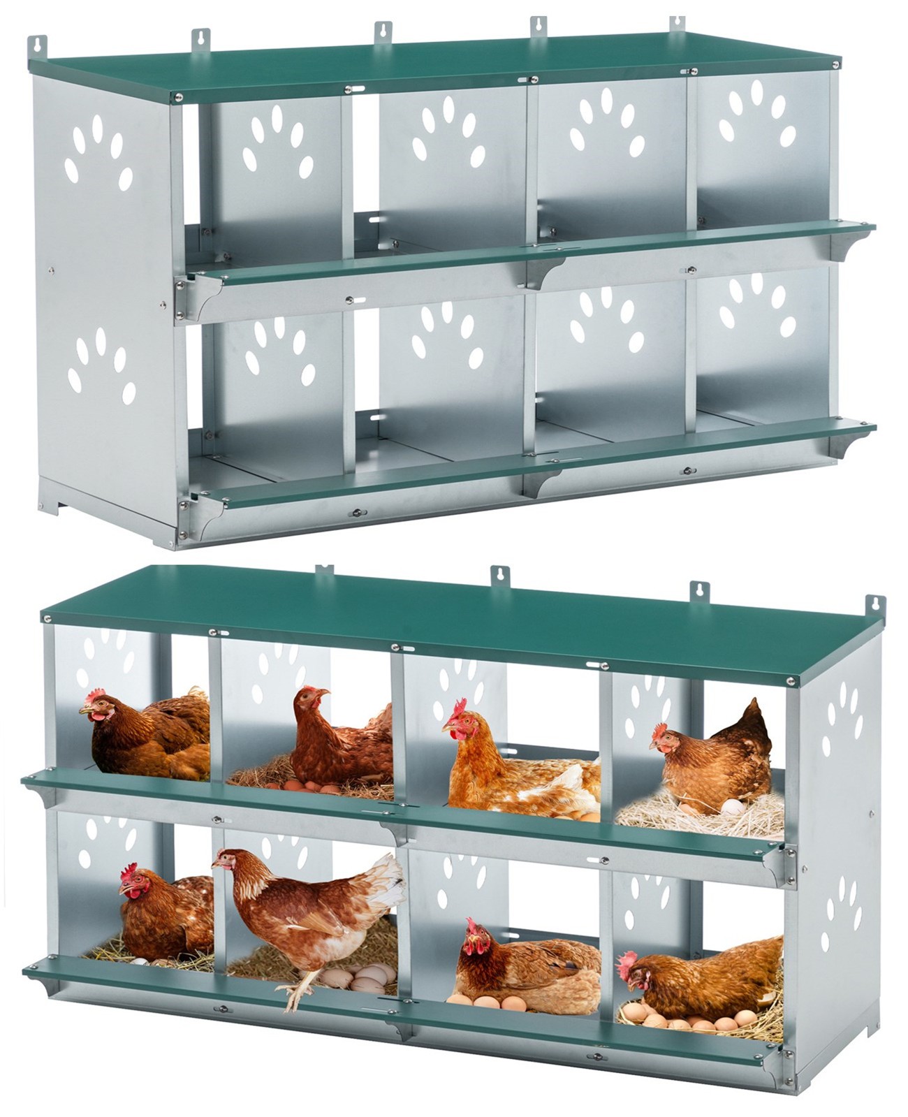 Metal Hens Box 8 Compartment Wall Mount Nesting Box for Chickens Laying Eggs
