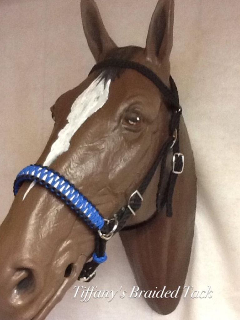side pull hackamore attachment with a whoa black with nose knots...mini to draft