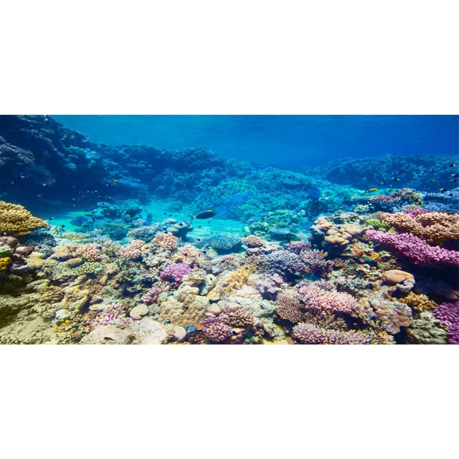 AWERT Aquarium Background Coral Reef Tropical Fish 72 x 24 in,