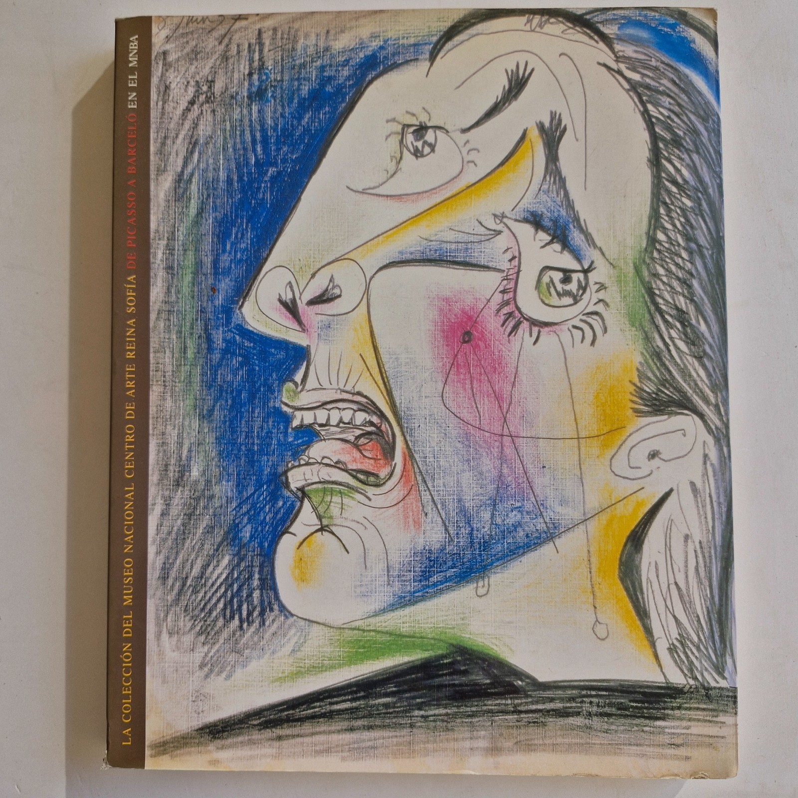 De Picasso a Barceló / La Coleccion del Museo Nacional Reina Sofia en el MNBA
