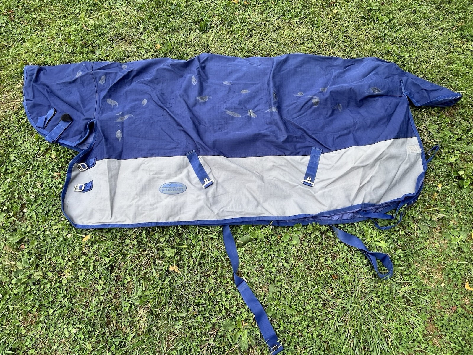75” Med Weatherbeeta Comfitec Essential Combo Neck Medium Weight Turnout Blanket