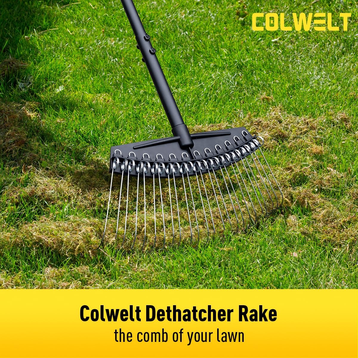 Best Colwelt Thatch Rake, Dethatcher Rake with Thin, Curved Spring Steel Tines