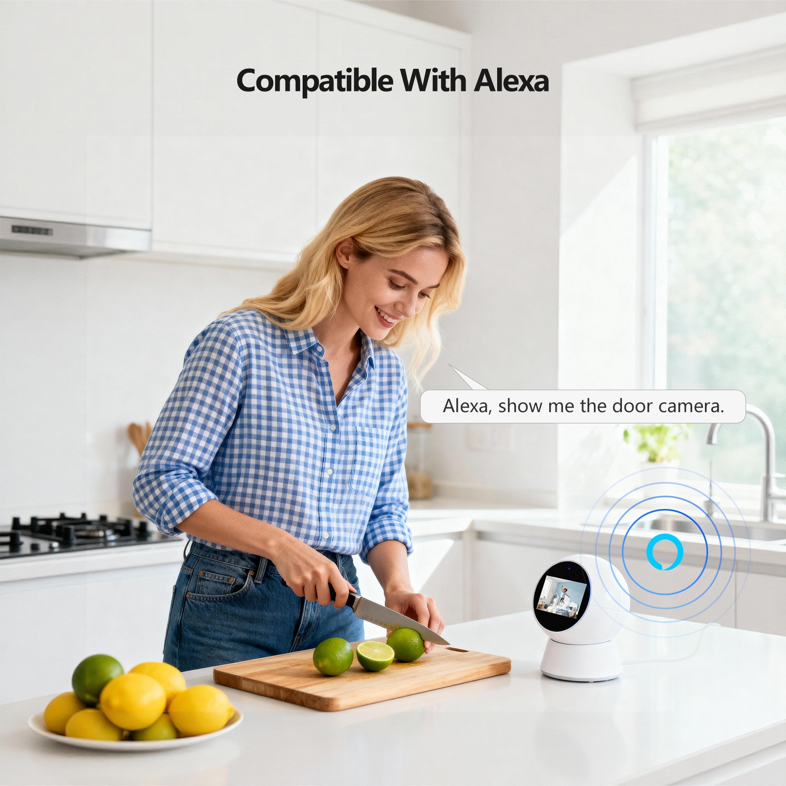 Wireless Security Camera System WIFI PTZ Outdoor Weatherproof Camera 5MP 1TB NVR