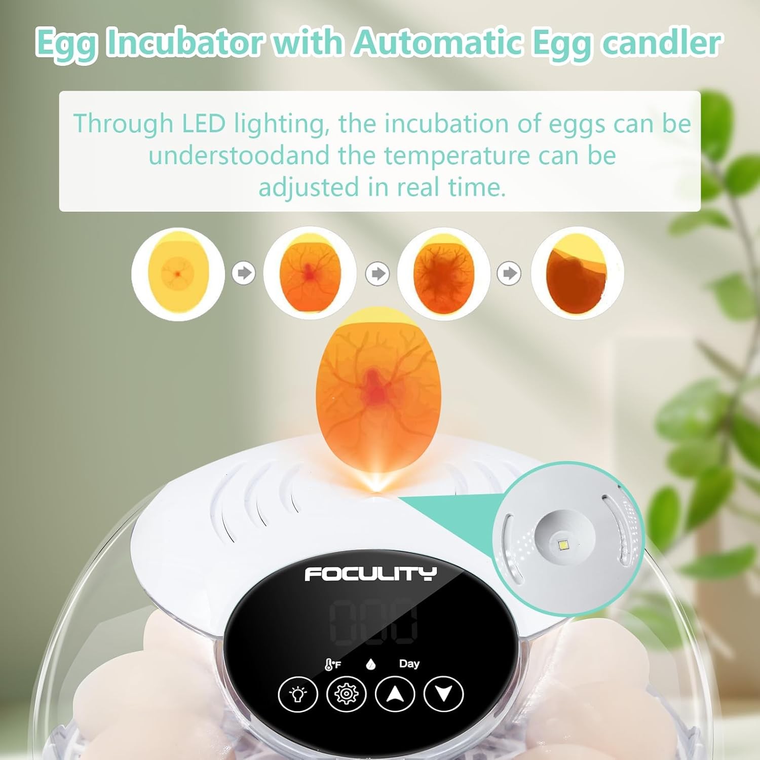 12-Egg Automatic Temperature-Controlled Hatching Incubator for Chicks