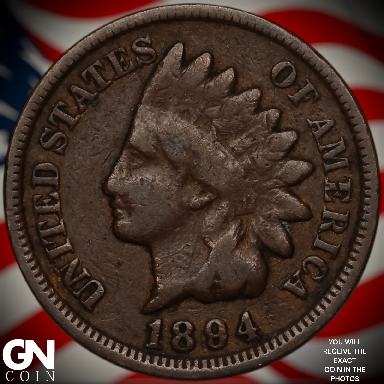 1894 Indian Head Cent Penny Z7956