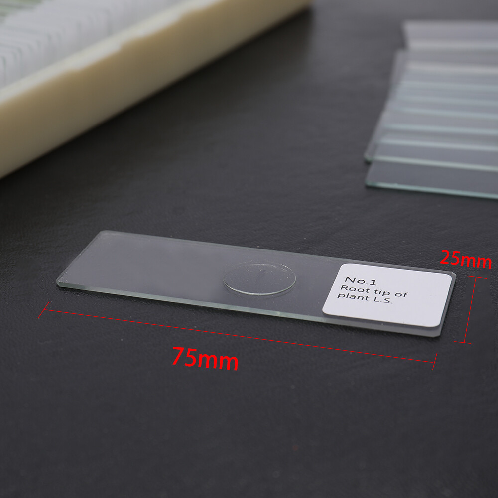 100PCS/Set Biological Glass Sample Portable Educational Microscope Slides F2X3