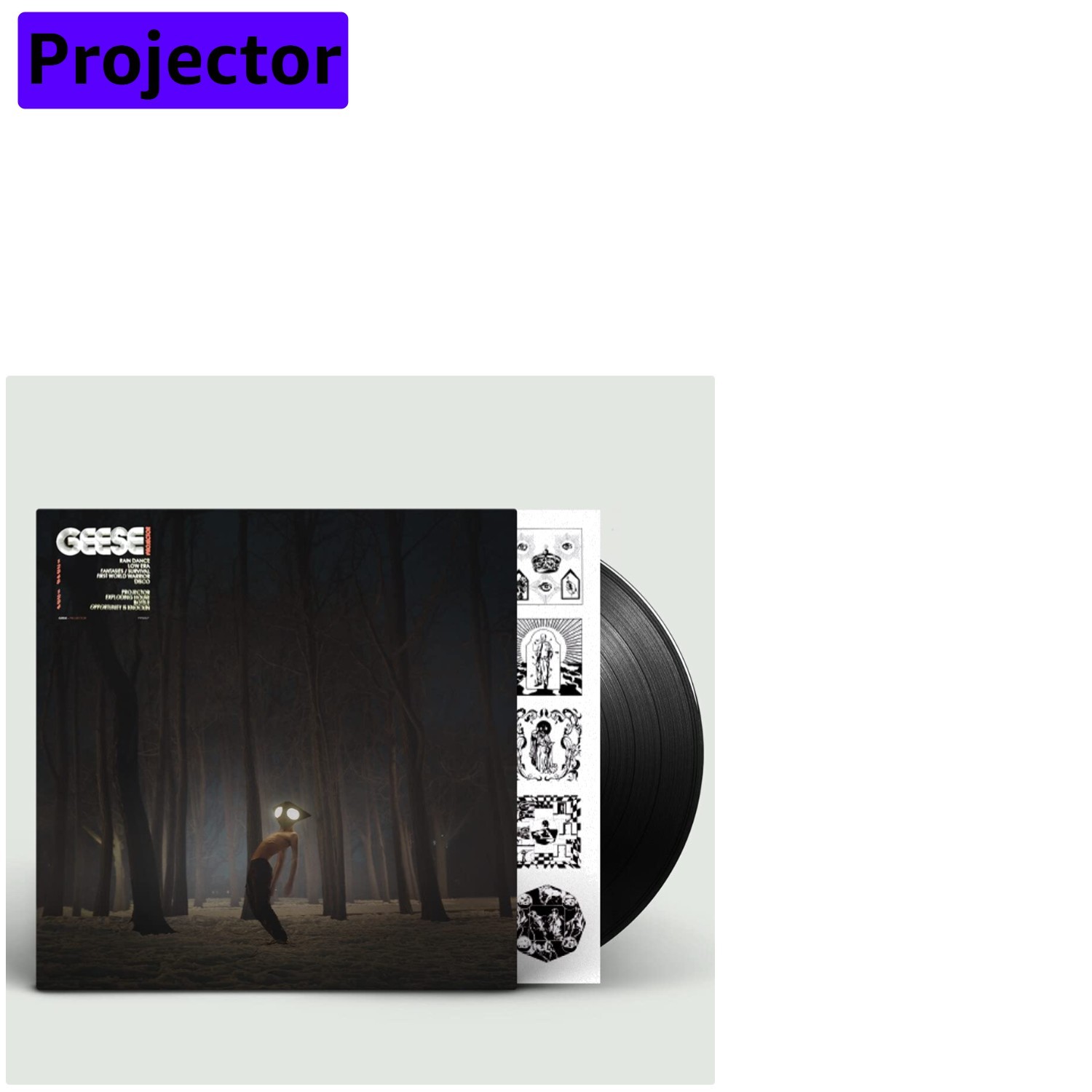 Projector